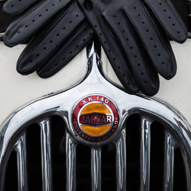 Dents x Morgan Driving Gloves