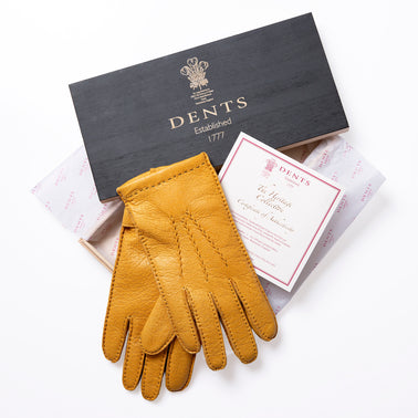 A Glove Steeped in Luxury